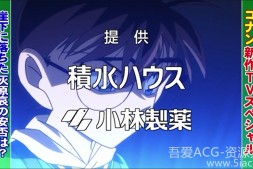 名侦探柯南:江户川柯南失踪事件-史上最糟糕的两日 TV播出原版中字